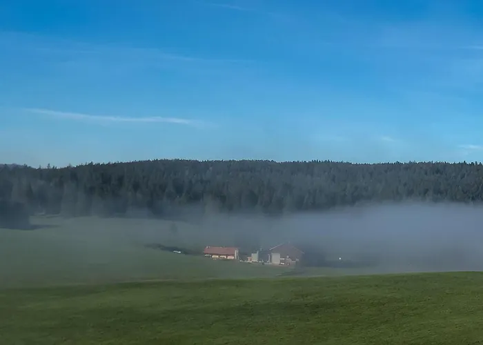 Appartement Grand-rue 143 By Interhome *